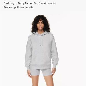 aritzia tna hoodie